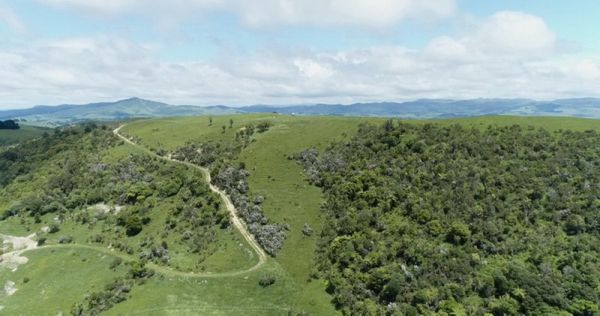 Captured by Micah Winiata Captured by Micah Winiata