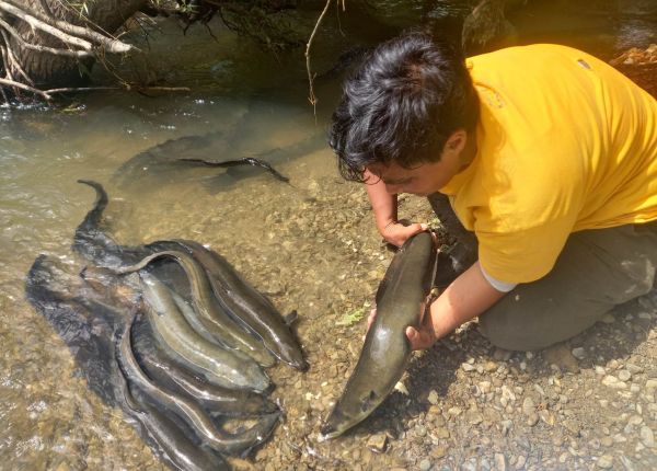 One of our future plans is to create a space where all who visit can interact with the tuna that live here.